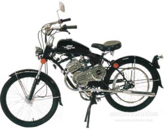2003 Whizzer Panther