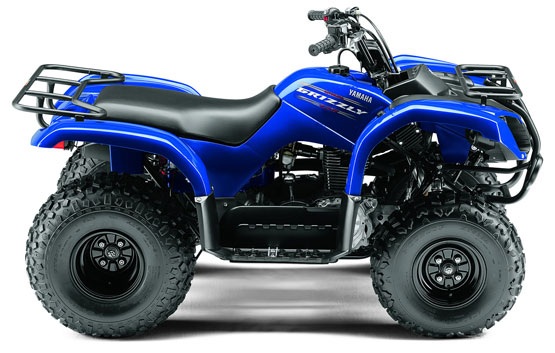 2005 Yamaha Grizzly 125 Automatic