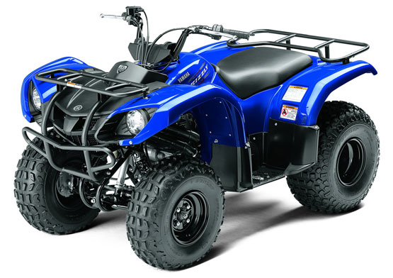 2005 Yamaha Grizzly 125 Automatic