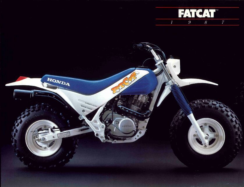 FatCat200