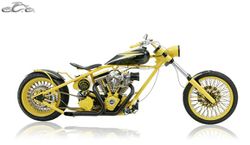 OCC-Lance-Armstrong-Bike.jpg