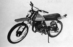 1981-Suzuki-DS125X.jpg