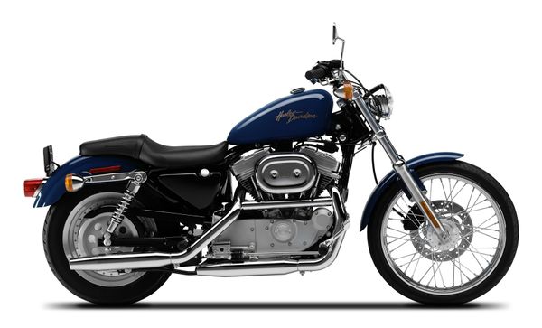2001 Harley Davidson 883 Custom