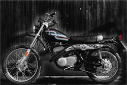 Harley-SX175.jpg