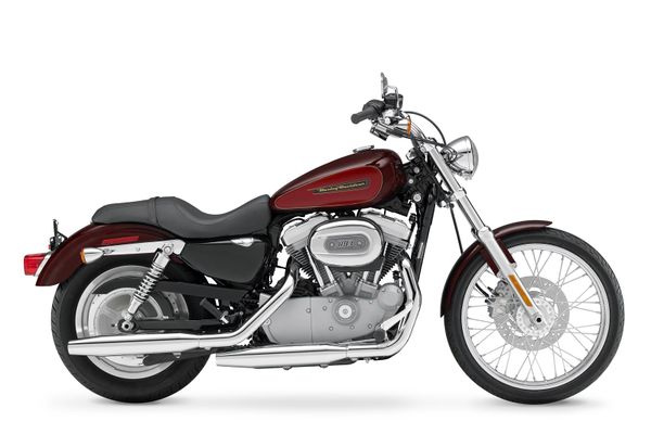 2008 Harley Davidson 883 Custom