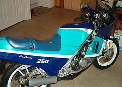 1987-Suzuki-RG250-WhiteBlue-2.jpg