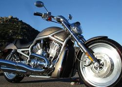 2005-Harley-Davidson-VRSCA-V-Rod-Gold-Black-6138-3.jpg
