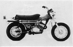 1975-Suzuki-RV125M.jpg