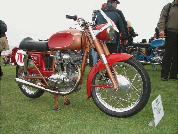 1955 - 1958 Ducati 65TS