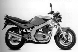 1998-Suzuki-GS500EW.jpg