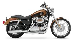 Harley--XL1200C-105an-08.jpg