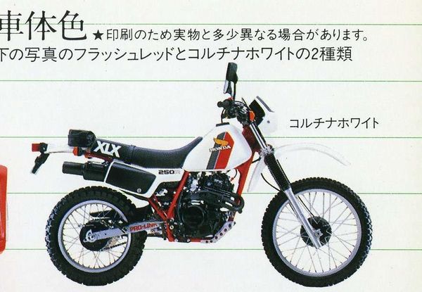 Honda XLX250R
