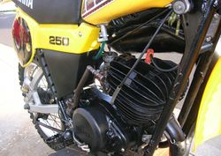 1979-Yamaha-YZ250-Yellow-3542-5.jpg