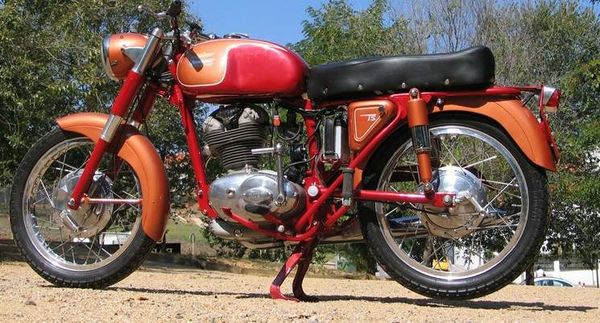 1960 - 1963 Ducati 175 TS