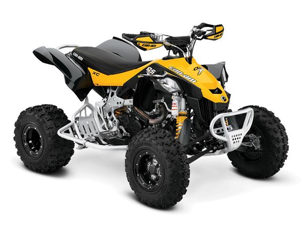 Can-Am DS450