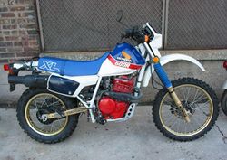 1986-Honda-XL600R-Blue-0.jpg