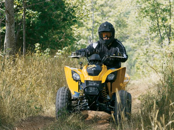 2006 Can-Am/ Brp Bombardier DS250