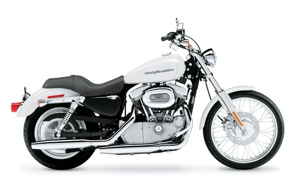 2004 Harley Davidson 883 Custom