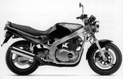 2000-Suzuki-GS500EY.jpg