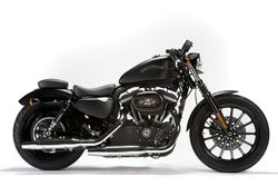 Harley-XL883-Iron-SE-13--2.jpg