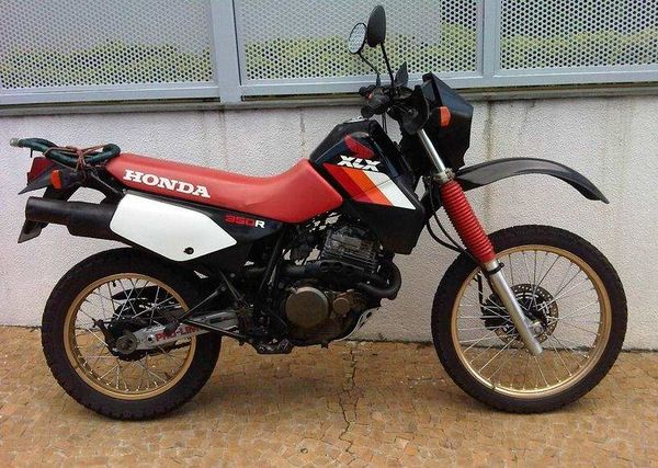 Honda XLX350R