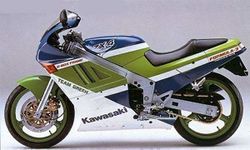 Kawasaki-ZXR400F3-88-1.jpg