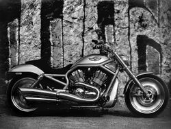 Harley-VRSCA-100th-03.jpg