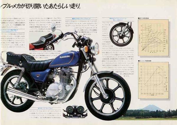 Kawasaki Z 250LTD