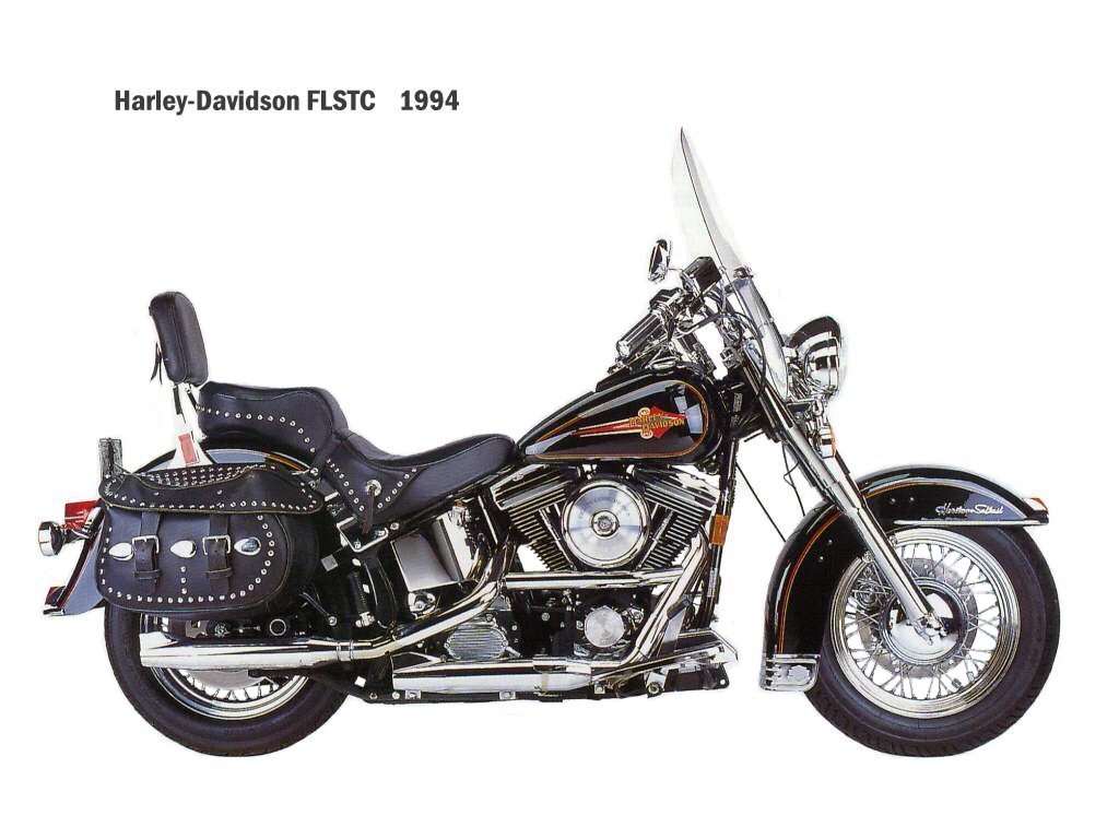 Harley-Davidson FLSTC - CycleChaos