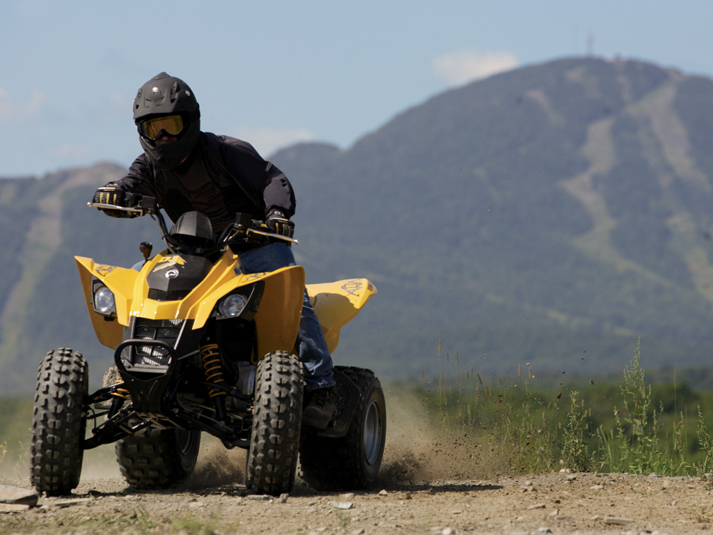2006 Can-Am/ Brp Bombardier DS250.