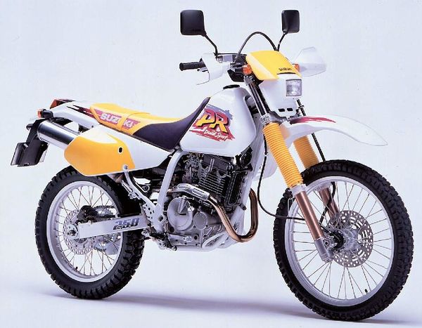 Suzuki DR250R