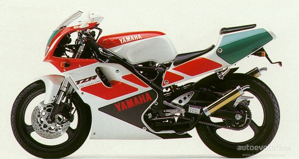 1991 - 1996 Yamaha TZR 250 (3XV)