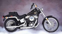 Harley-FLSTC-84.jpg