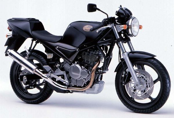 1991 - 1999 Suzuki SG 250 GOOSE