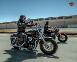 Harley-davidson-1200-custom-3-2013-2013-3.jpg