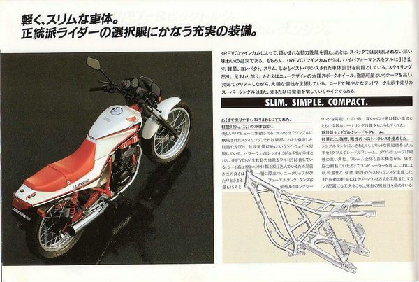 Honda CBX250RS