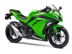 Kawasaki-ninja-300-2015-2015-4.jpg