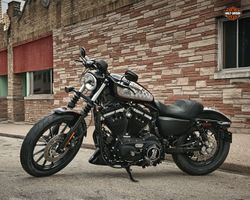 Harley-davidson-iron-883-3-2012-2012-1.jpg
