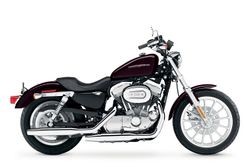 Harley-davidson-sportster-883-low-2006-2006-0.jpg