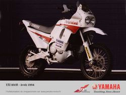 Yamaha-XTZ800.jpg