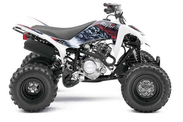 2011 Yamaha Raptor 125