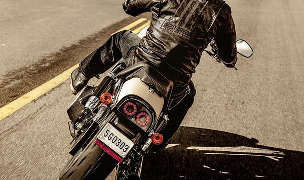 2015 Harley Davidson Fat Bob