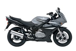 Suzuki-gs500-2009-2009-1.jpg