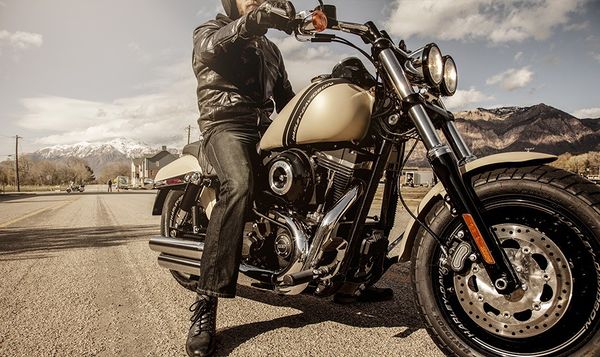 2015 Harley Davidson Fat Bob
