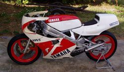 1987-Yamaha-TZ250T-White-5648-3.jpg