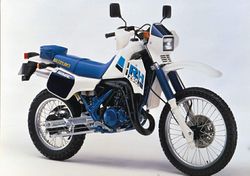 Suzuki-rh-250x-1984-1988-2.jpg
