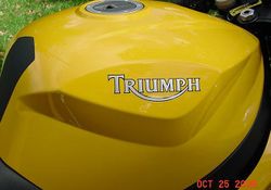 2005-Triumph-650-Daytona-Yellow-1965-4.jpg