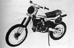 1981-Suzuki-RM250X.jpg