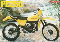 Suzuki-pe250-1977-1983-2.jpg