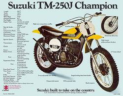 1972 tm250J broc.jpg